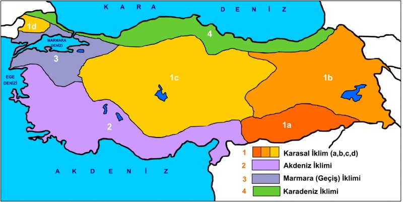 Marmara bölgesi geçiş iklimi hariası